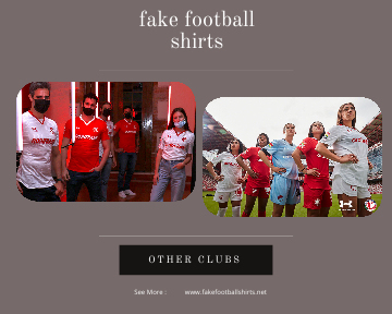 fake Toluca football shirts 23-24